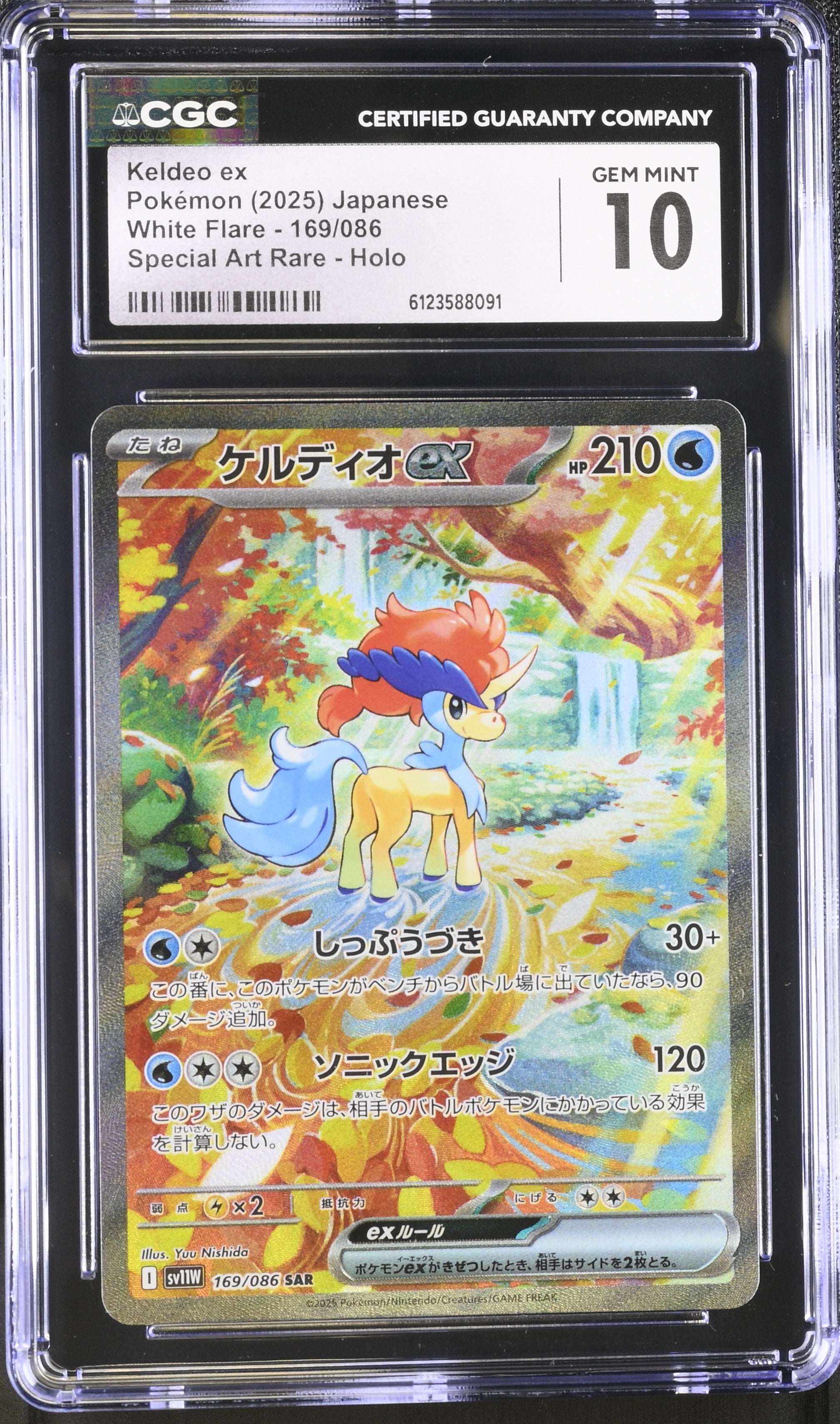 2025 Pokemon Japanese White Flare SAR Keldeo Ex #169 CGC 10