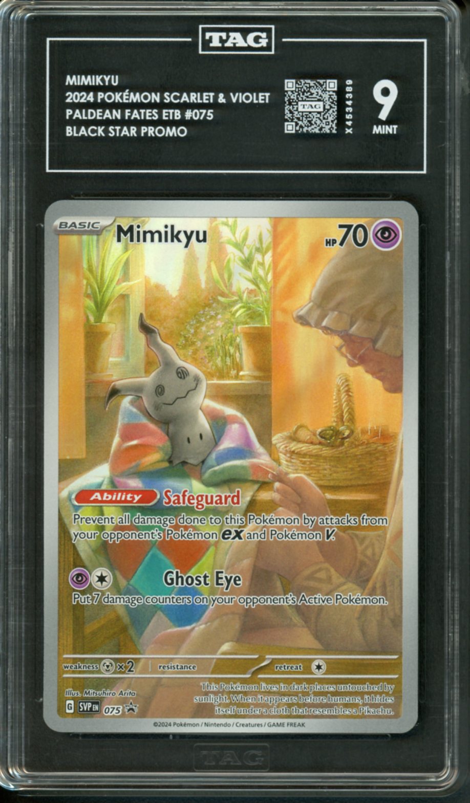 Tag Graded Cards - Pocket Slabs Tag Graded Cards - Pocket Slabs