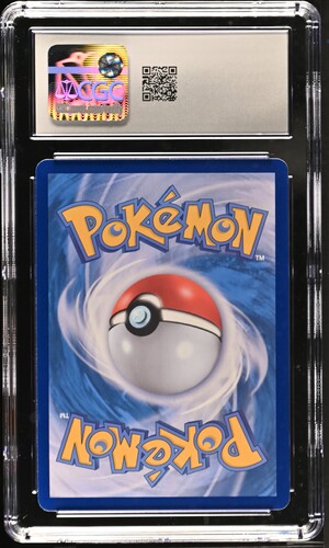 2025 Pokemon Korean Terastal Fest Ex SAR Flareon Ex #202 CGC 10