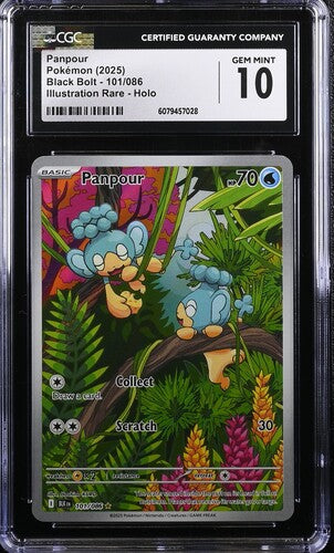 2025 Pokemon Black Bolt Panpour #101 CGC 10