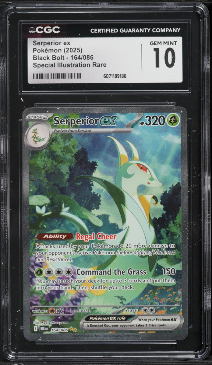 2025 Pokemon Black Bolt SIR Serperior ex #164 CGC 10