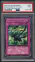 2003 Yu-Gi-Oh! P.C. Yugi The Destiny Promo Windstorm Of Etaqua #PCY-001 PSA 9