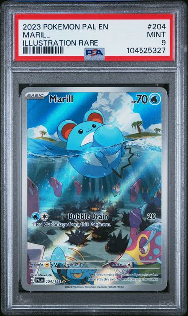 2023 Pokemon Paldea Evolved IR Marill #204 PSA 9