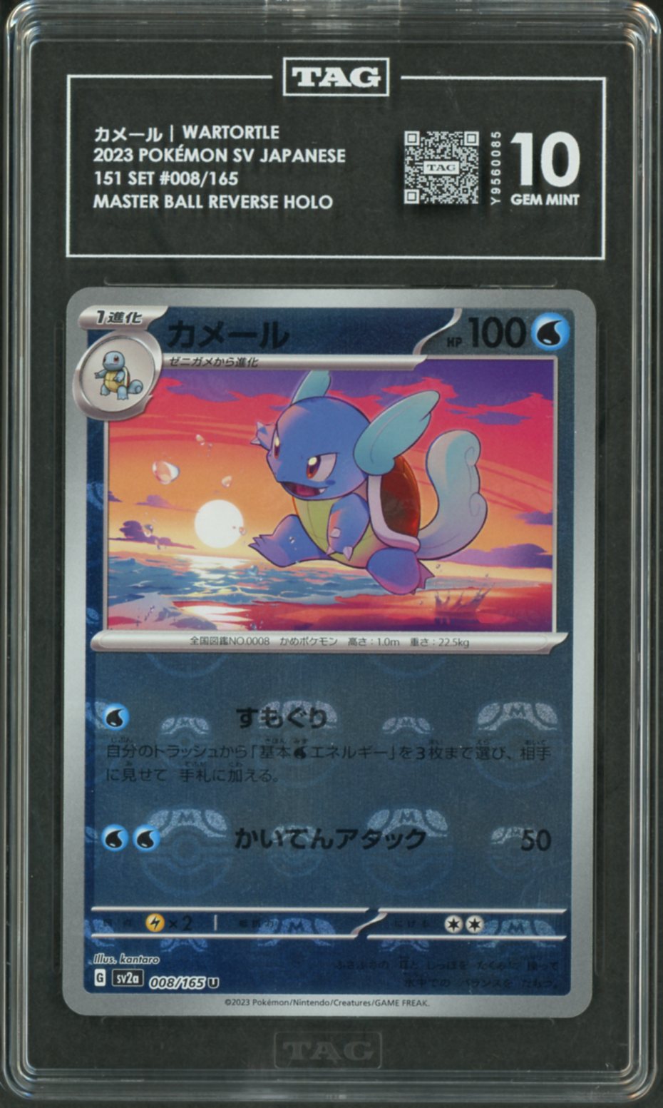 2023 Pokemon Japanese 151 Master Ball Wartortle #8 TAG 10