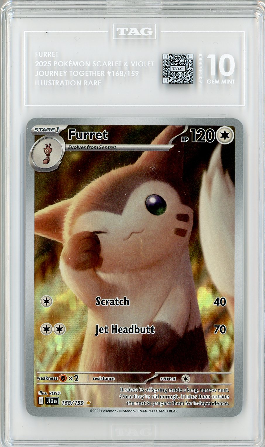 2025 Pokemon Journey Together IR Furret #168 TAG 10